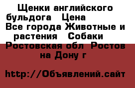 Щенки английского бульдога › Цена ­ 40 000 - Все города Животные и растения » Собаки   . Ростовская обл.,Ростов-на-Дону г.